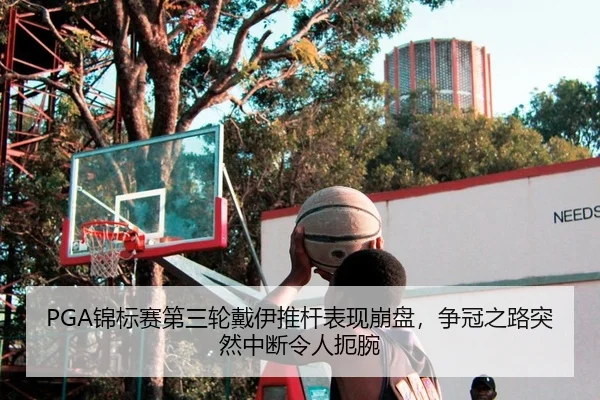 PGA锦标赛第三轮戴伊推杆表现崩盘，争冠之路突然中断令人扼腕